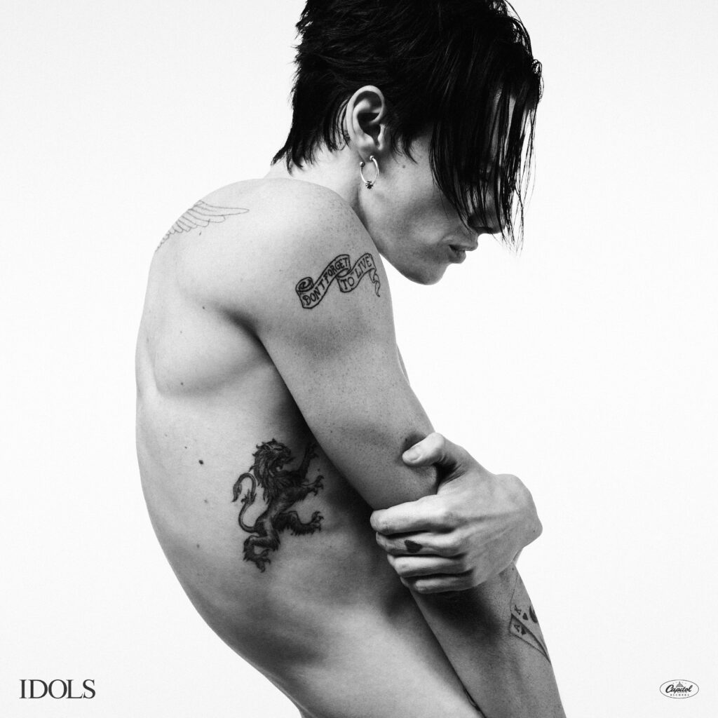 Idols_Cover_1